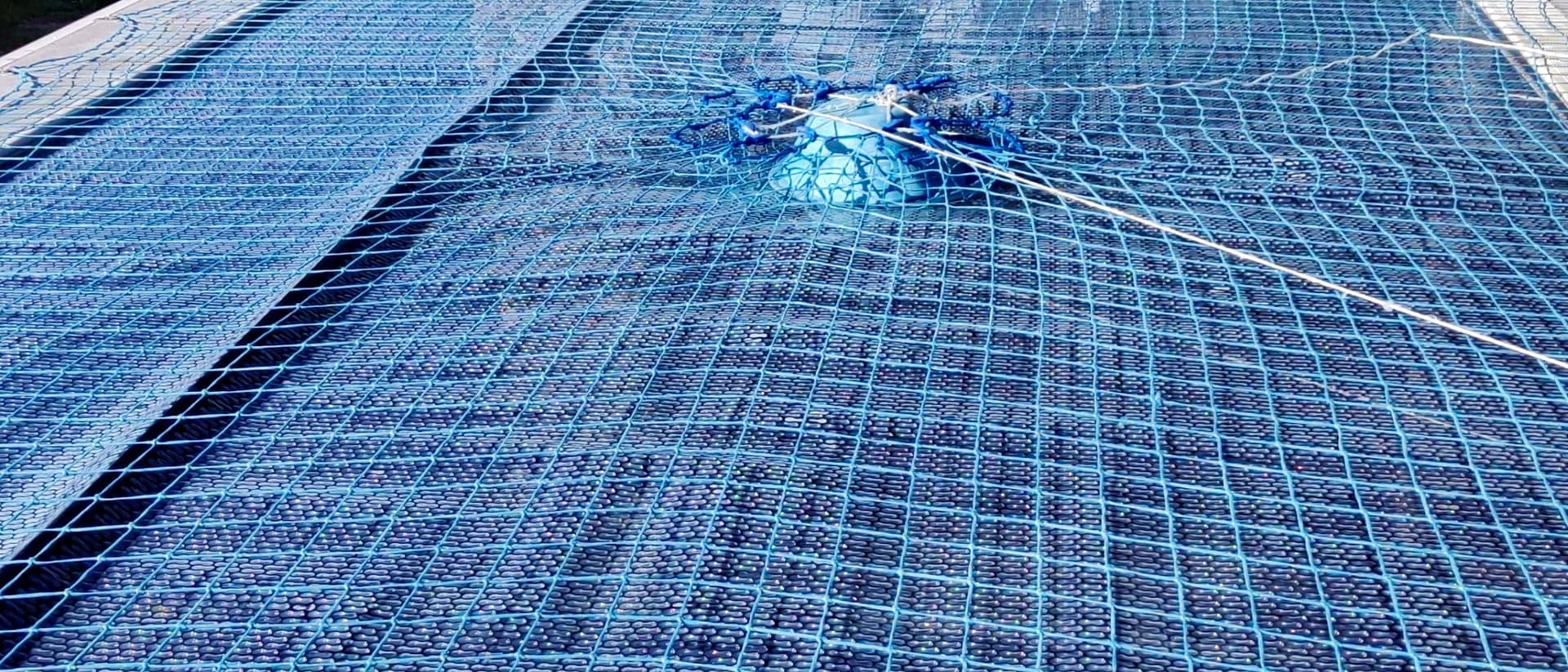 A custom-fitted pool cover sitting flush to the pool edge